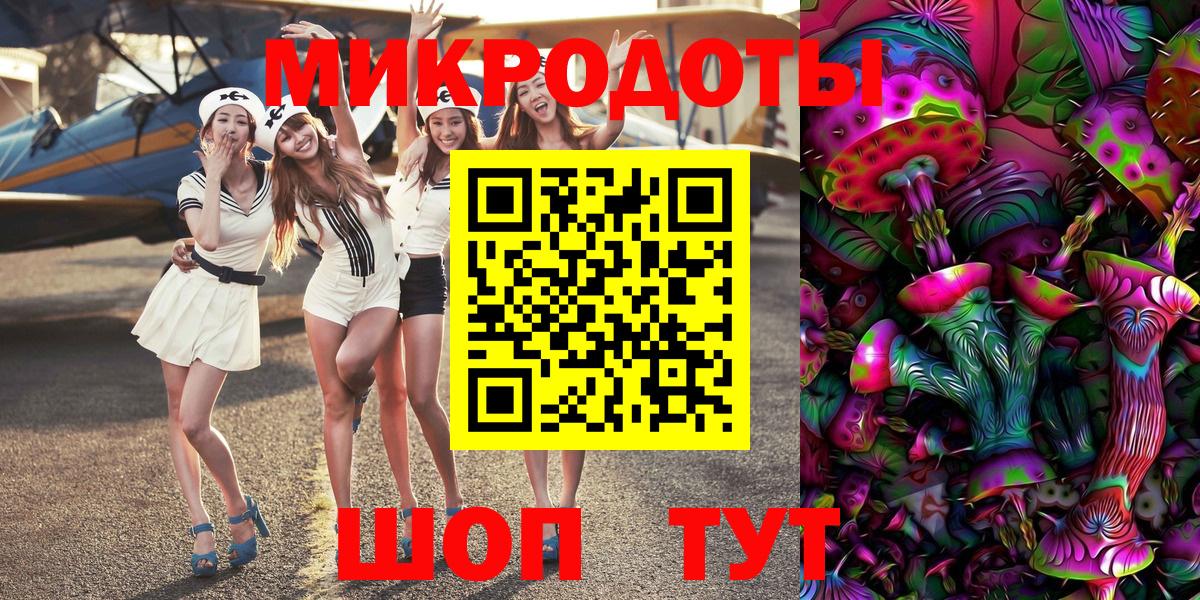 Псилоцибиновые грибы Psilocybe  Вход с VPN  Партизанск 
