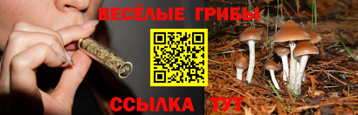 Псилоцибиновые грибы Magic Shrooms Партизанск